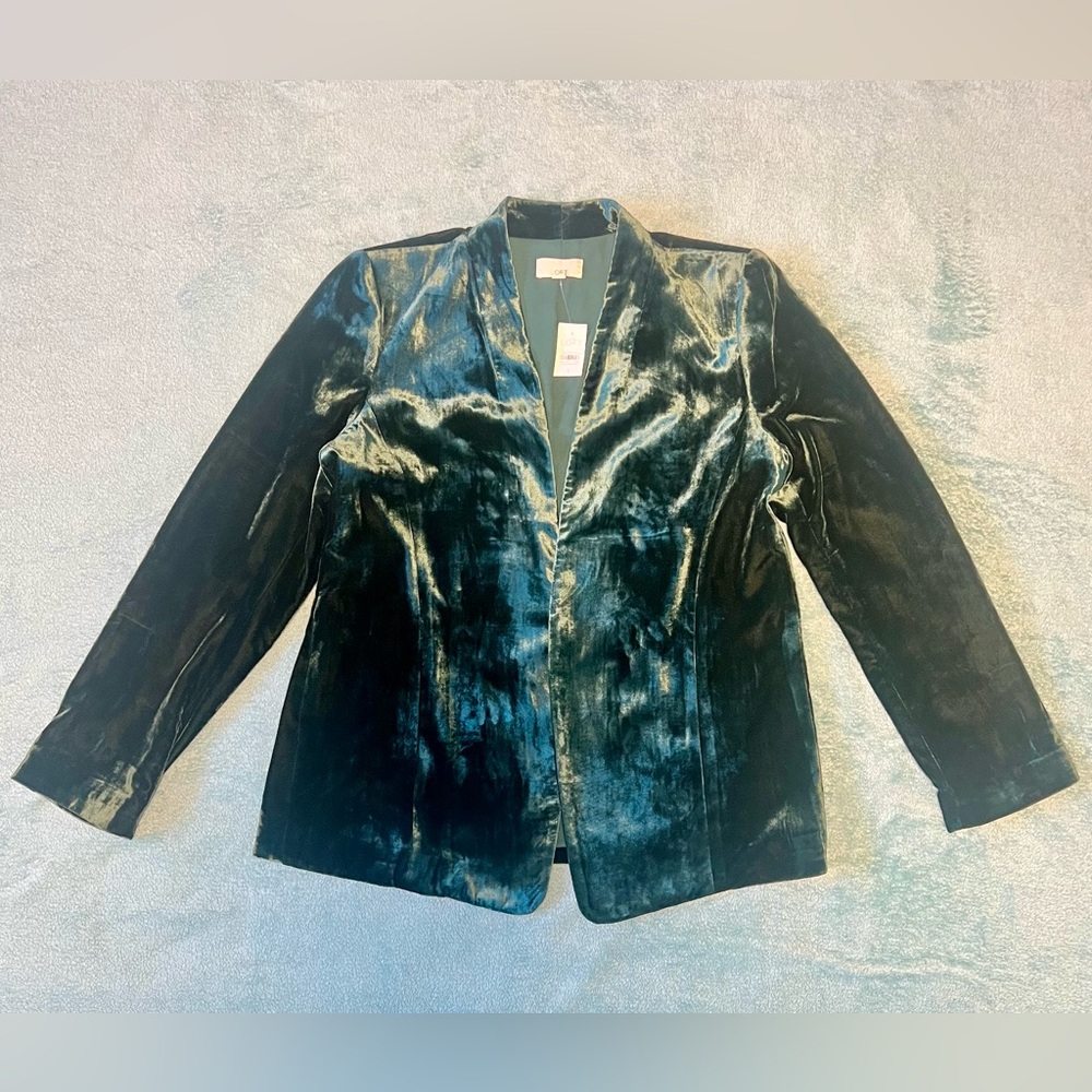 Loft Velvet Blazer Jacket